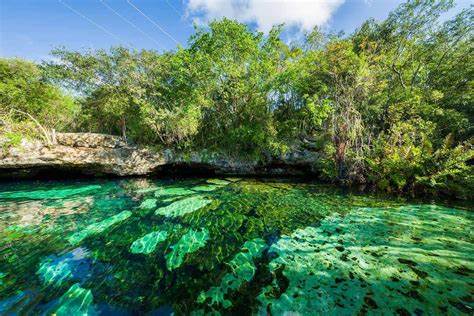 cenotes playa del carmen
