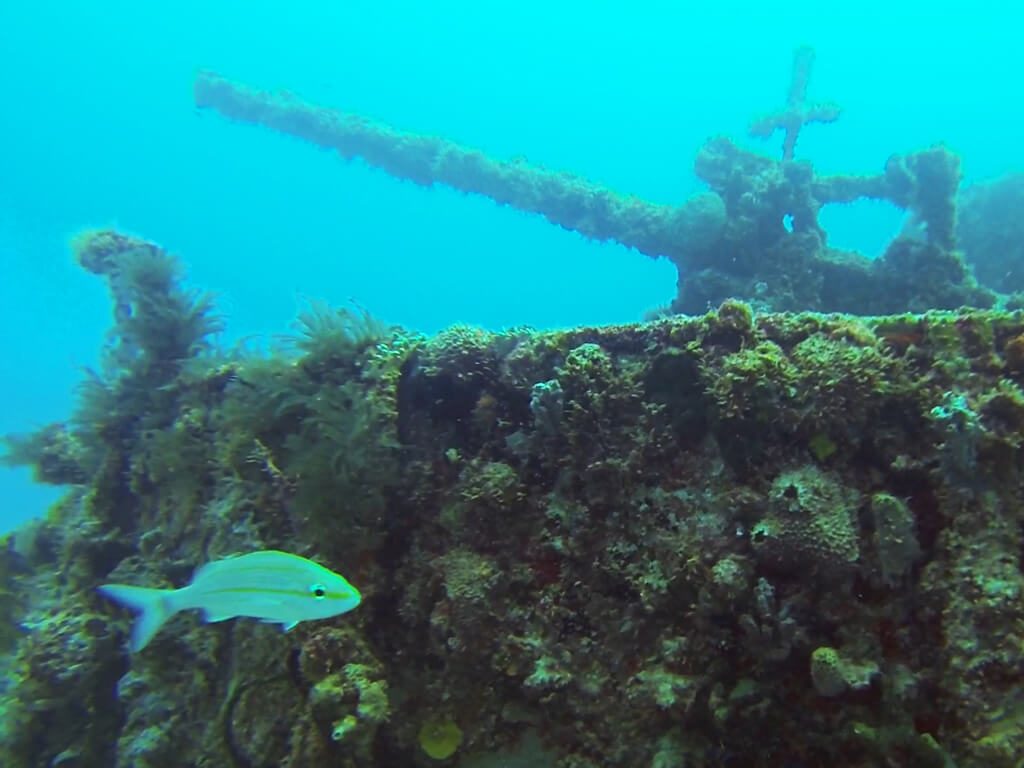 Diving on the Cañonero Boat