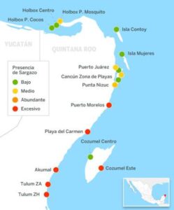 Where is Puerto Morelos