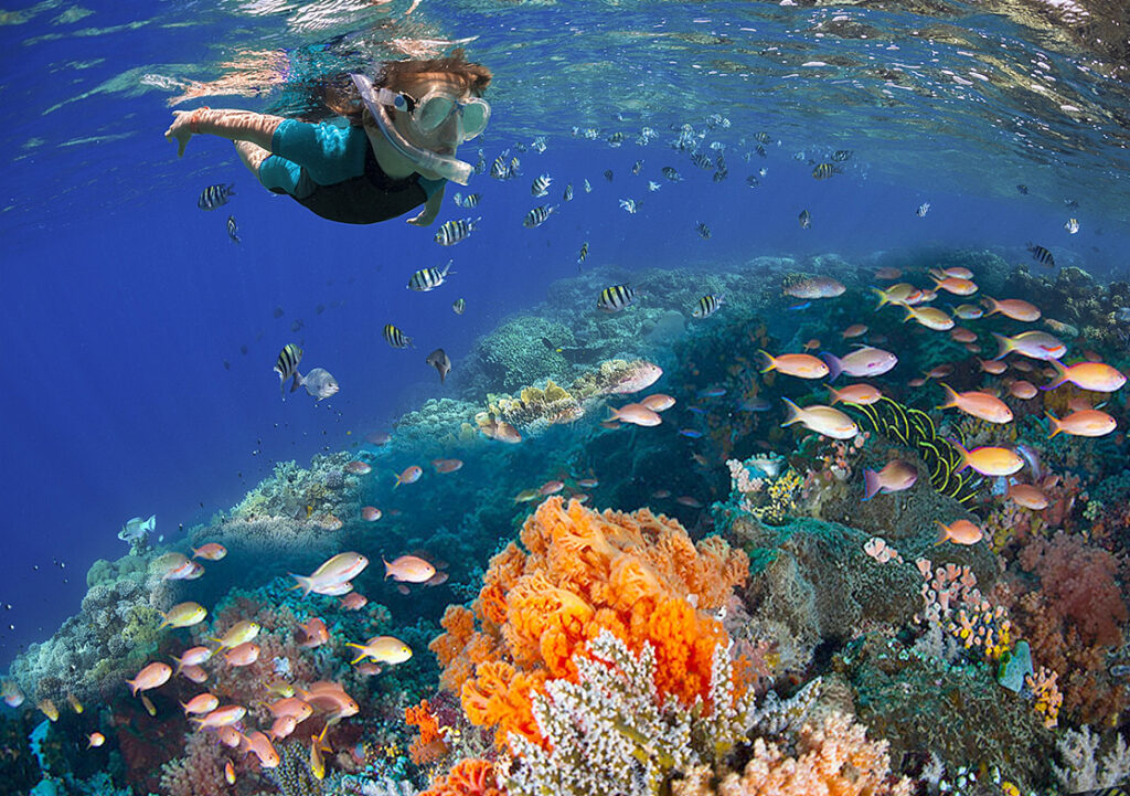 Arrecife National Park